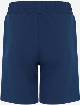 Шорты для мальчиков, Синий 4680577258996 – фото 1