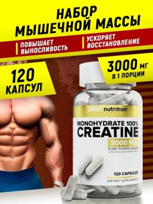 Creatine Monohydrate 100%, креатин, капсулы 240 шт