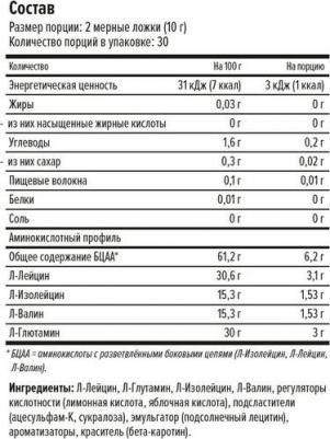 BCAA + Glutamine, аминокислоты 300 г – фото 2