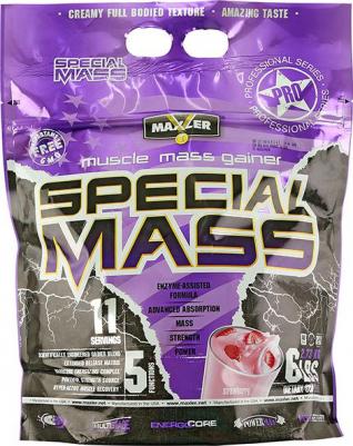 Special Mass Gainer, гейнер 2720 г – фото 12