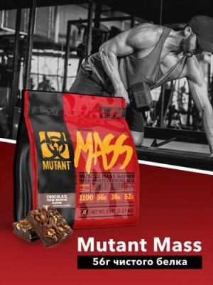 Mass, гейнер 2270 г