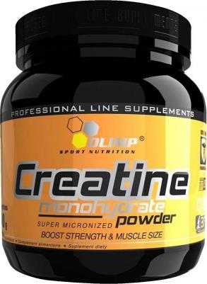 Creatine Monohydrate Powder, креатин 250 г – фото 2