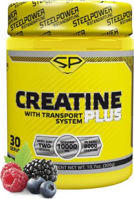 Creatine Monohydrate, креатин 300 г – фото 2