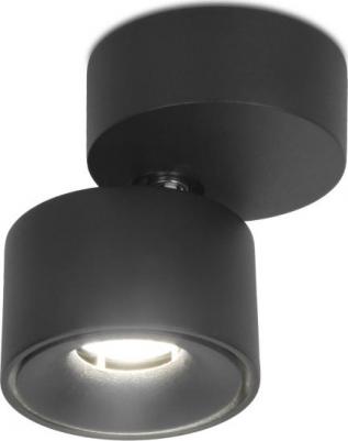 TN269 – фото 6