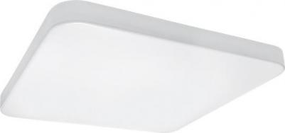 226262 – фото 5