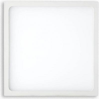 C0196 – фото 6