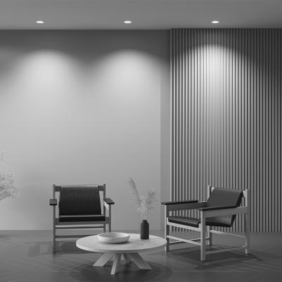 DL002-1-01-W – фото 6