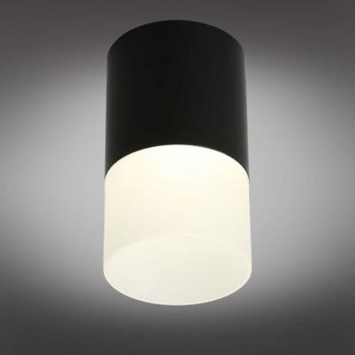 OML-100019-05 – фото 4