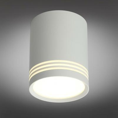 OML-100109-12 – фото 4
