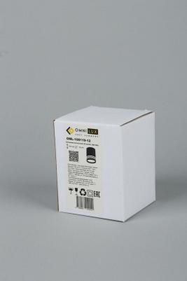 OML-100119-12 – фото 1