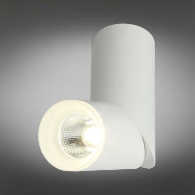 OML-100209-10 – фото 6
