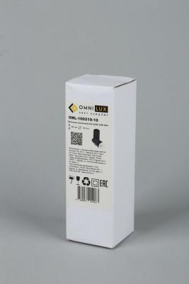 OML-100219-10 – фото 2