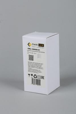 OML-100609-01 – фото 2