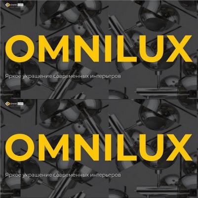 OML-100709-01 – фото 7