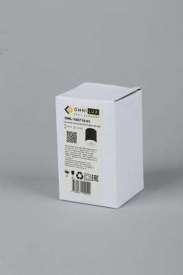 OML-100719-01 – фото 7