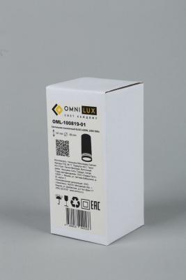 OML-100819-01 – фото 1