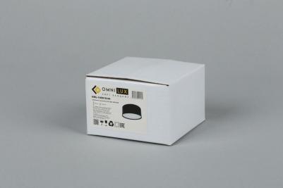 OML-100919-06 – фото 2