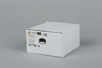 OML-100919-12 – фото 6
