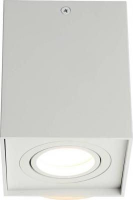 OML-101109-01