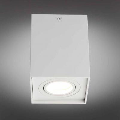 OML-101109-01 – фото 6