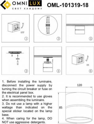 OML-101319-18 – фото 14