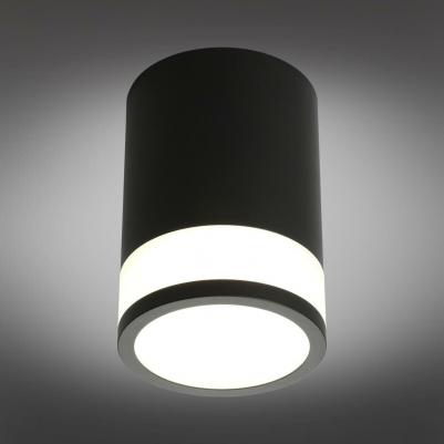 OML-101519-12 – фото 4