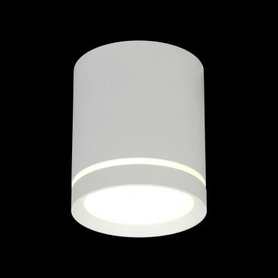 OML-102409-05 – фото 2