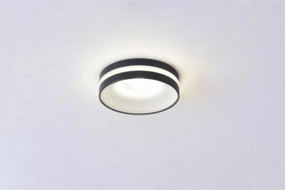 OML-102719-01 – фото 1