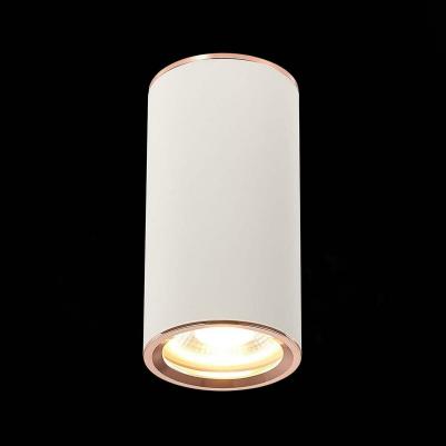 ST111.527.01 – фото 2