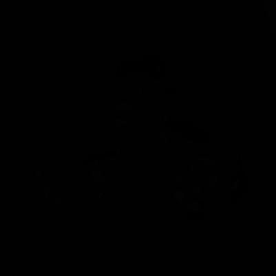 ST252.518.01 – фото 2