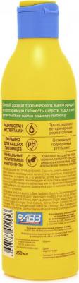 Шампунь для собак и кошек Frutty Тропическое манго 250мл – фото 1