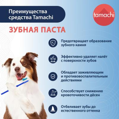 Tamachi Зубная паста туба, 100 мл – фото 5