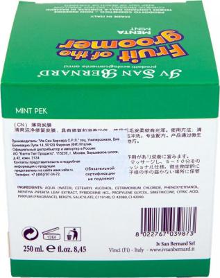 Маска Fruit of the Grommer Mint Tonifying & Refreshing Mask восстанавливающая с витамином B6 для любого вида шерсти животных 250 мл – фото 3