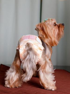 Многоразовые подгузники для собак и кошек до 3 кг, обхват талии 15-30 см, для приучения к туалету, 16 штук – фото 9