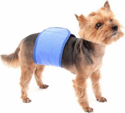 Пояс для кобелей многоразовый S (29-34*10см) – фото 4