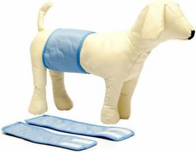 Пояс для кобелей многоразовый XXL(49-54*17см) – фото 2