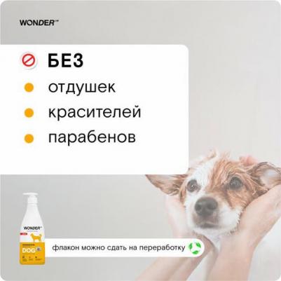 Экошампунь для собак 0,55л – фото 5