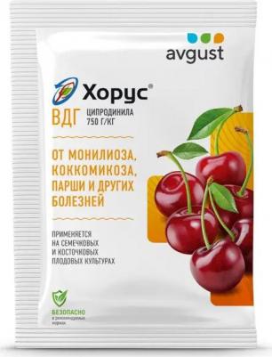 Фунгицид Хорус ВДГ пакет 2 г