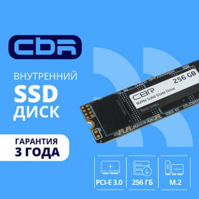 SSD-256GB-M.2-BS24b – фото 1