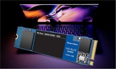 WDS100T2B0C – фото 9