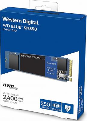 WDS100T2B0C – фото 13