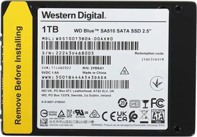 WDS100T3B0A – фото 19