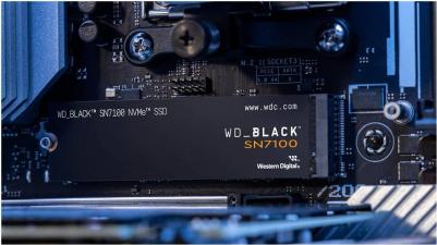 WDS100T4X0E – фото 1