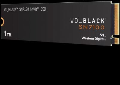 WDS100T4X0E – фото 3