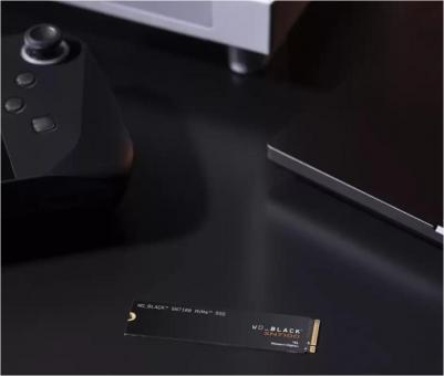 WDS100T4X0E – фото 4