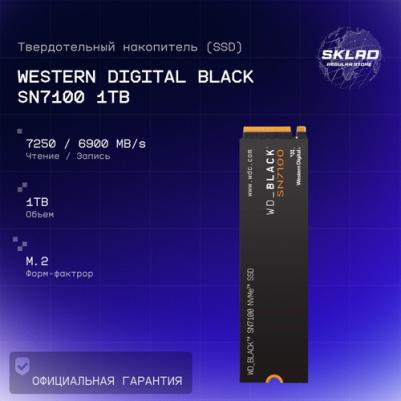 WDS100T4X0E – фото 6