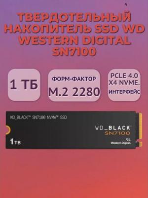 WDS100T4X0E – фото 9