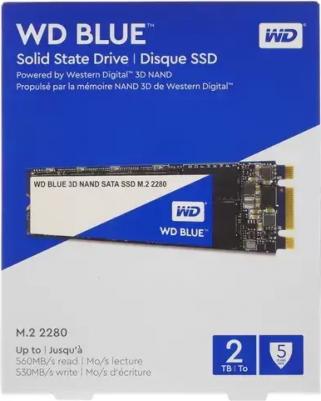 WDS200T2B0B – фото 11