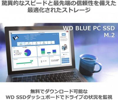 WDS200T2B0B – фото 15