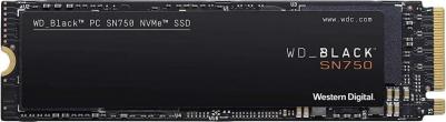 WDS250G3X0C – фото 15